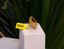 Picture of Shahed ring - enamel